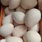 Продам інкубаційні індичі яйця - фото № 1
