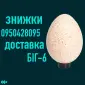 Яйце Інкубаційне | Яйцо Инкубационное | БИГ-6 - фото № 1