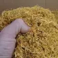 Продам гарний тютюн - фото № 1