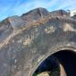 Б/у шина 800/70R38 Michelin (пара) для комбайна або трактора - фото № 3