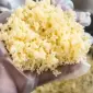 Промышленная сыротерка для мягкого типа сыра STvega Cheese Grinder H300 - фото № 7
