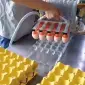 Вакуумний укладач яєць (на 30 шт) STvega Vacuum Egg Lifter H30 - фото № 4