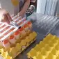Вакуумний укладач яєць (на 30 шт) STvega Vacuum Egg Lifter H30 - фото № 5