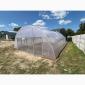 Теплица «Алмир» шириной 7 или 8 м из оцинкованной квадратной трубы с пленкой 150 мкм - фото № 1