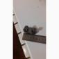 Механические соединители Flexco Bolt Solid Plate 1" - фото № 6
