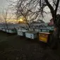Продам вулики б/у 50 шт - фото № 1