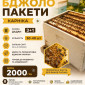 Продам пчелопакеты Карника - фото № 1