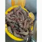 CraneHydraulicSystem #HydraulicCylinderRepair #HydraulicPumpRepair - фото № 14