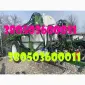 Обприскувач Spray Expert 3000 (оригінальні фото - фото № 1