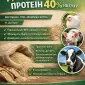 Дрожжи кормовые, Дріжджі кормові - фото № 1