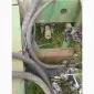 Продам сівалку точного висіву John Deere 7000 - фото № 4
