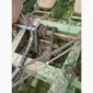Продам сівалку точного висіву John Deere 7000 - фото № 3