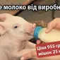Корм сухе молоко для поросят телят БМВД - фото № 1