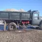Жом свежий или кислый - фото № 1