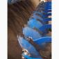 ВАЖКА дискова борона Lemken Rubin 9/600 ДЕРЖКОМПЕНСАЦІЯ 25% - фото № 7