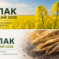 Продаж майбутнього врожаю ріпаку - фото № 1
