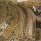 Колінчатий вал Д 240 - фото № 7