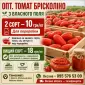 Томат Брісколіно для переробки - фото № 2
