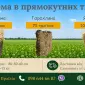 Солома пшеничная, ячменная, гороховая в тюках 2026 - фото № 3
