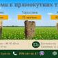 Солома пшенична, ячмінна, горохляна в тюках 2026 - фото № 1