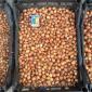Лук севок - фото № 4