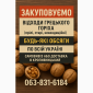 Закуповуємо відходи грецького горіха - фото № 1
