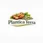 Стабільний постачальник волоського горіха та фундука Plantica Terra - фото № 1