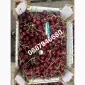 Продам черешню в качестве с сада - фото № 1