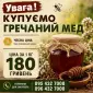 Купуємо гречаний мед - фото № 1