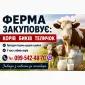 Фермерське господарство закуповує врх - фото № 1