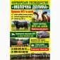 Закуповуємо ВРХ у населення та господарств - фото № 1