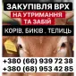 Ферма закуповує ВРХ - фото № 1