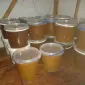 Продам мед лісовий весняний - фото № 1