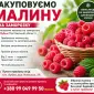 Куплю малину на заморозку - фото № 1