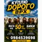 Закупляемо ВРХ дорого коров - фото № 1