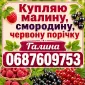 Купляю Малину - фото № 1