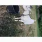 Заано-Ламанча кізочка 6 - фото № 1