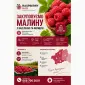 Закупляємо свіжу малину сезон 2026 - фото № 1