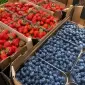Продаємо свіжу полуницю та свіжу лохину - фото № 1