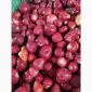 Продамо заморожену полуницю без чашолистка хорошої якості - фото № 1