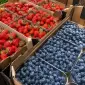 Продаж свіжої полуниці та лохини - фото № 1