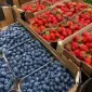 Свіжа полуниця та лохина на продаж - фото № 1