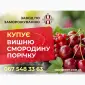 Купуємо ВИШНЮ - фото № 1
