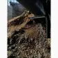 Продам відпрацьований грибний субстрат (грибний компост) для підвищення родючості ґрунту - фото № 2