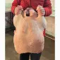 Продам тушки домашньої індички - фото № 3