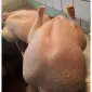 Продам тушки домашньої індички - фото № 4