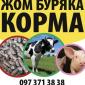 Продам жом буряка гранула/стружка - фото № 2