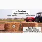 Солома в тюках (пшенична - фото № 1
