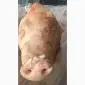 Продам ГОЛОВУ свиную ЦЕЛУЮ По запросу - фото № 4