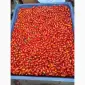 Продам коктейльный помидор - фото № 1